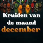 Kruiden van de maand december (1)